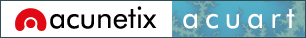 Acunetix website security